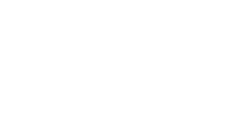 The Richard Goldberg Foundation